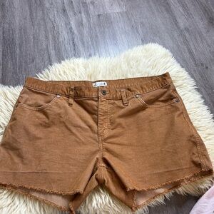 Carve Designs Brown Jean Shorts